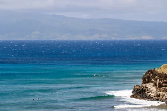 קסו קזינו תמיכה